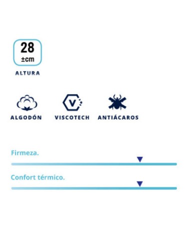 Colchón Cotoneaster